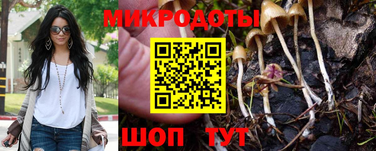 Галлюциногенные грибы Psilocybe  Псилоцибиновые грибы MAGIC MUSHROOMS  купить закладку  Архангельск  Вход с VPN 
